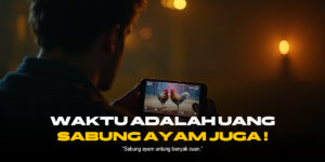 Mengenal Jenis Ayam Aduan dan Odds di SV388