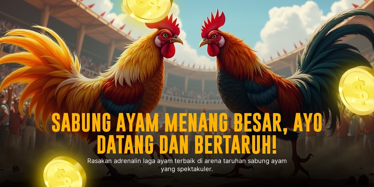 Mengenal Ayam Bangkok, Raja Sabung Ayam dengan Odds Menarik di SV388