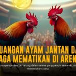 Mengenal SV388: Platform Sabung Ayam Online Terpercaya