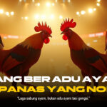 Sabung Ayam: Tradisi, Kontroversi, dan Perkembangannya di Indonesia