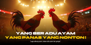 Sabung Ayam: Tradisi, Kontroversi, dan Perkembangannya di Indonesia
