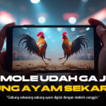 Membedah Provider Terkenal di Dunia Sabung Ayam: Fokus Pada ODDS dan Jenis Ayam