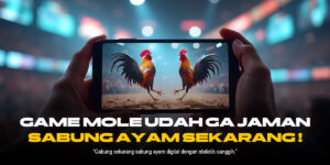 Membedah Provider Terkenal di Dunia Sabung Ayam: Fokus Pada ODDS dan Jenis Ayam